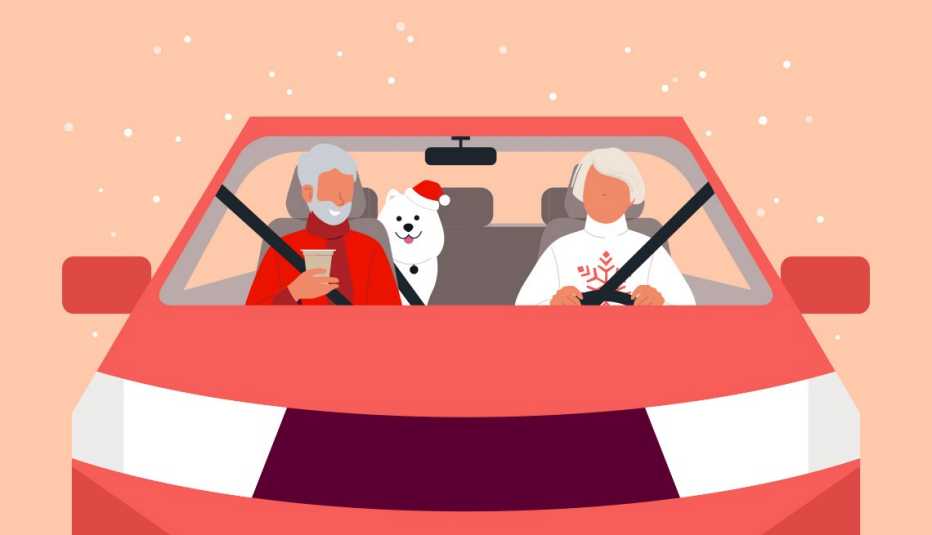 Image of man, woman, and dog in holiday clothing inside of a car.