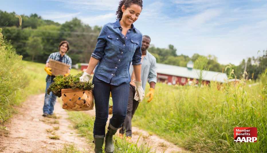 woman and two men walking on farm trail holding baskets of vegetables woman and two men walking on farm trail holding baskets of vegetables