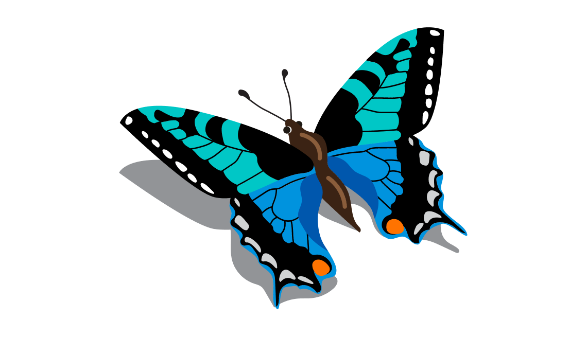 Quiz Yourself on Surprising Benefits from AARP illustration of a blue and teal butterfly