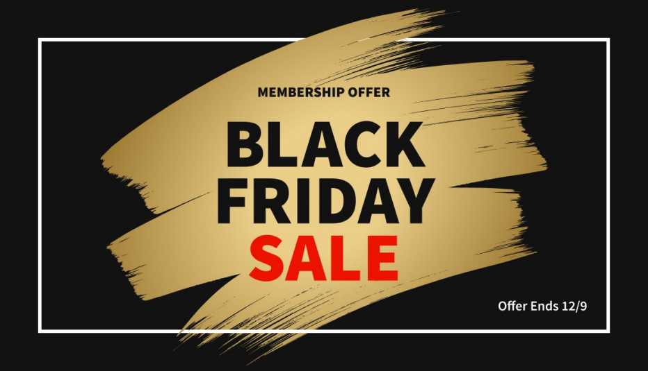 limited time black friday sale banner on black background with gold brush stroke​