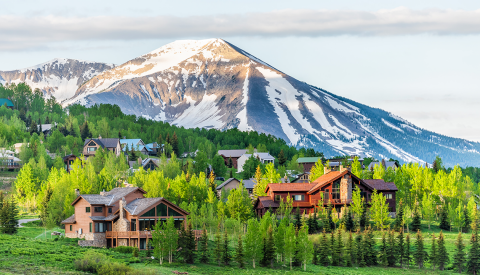 houses amongst trees with mountain behind them