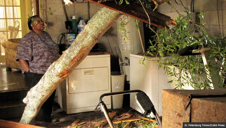 Examining damage from a tree falling through the roof of a house