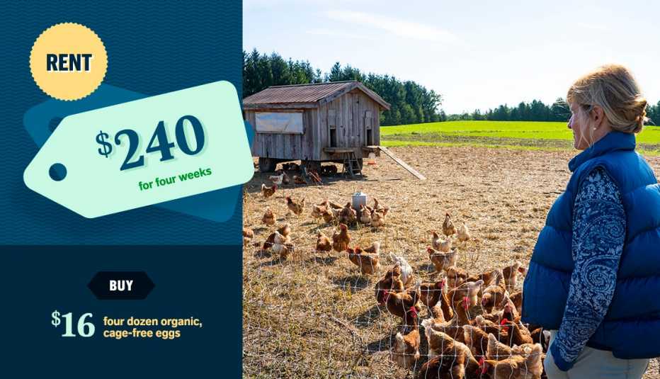 woman standing near chicken coop woman standing near chicken coop