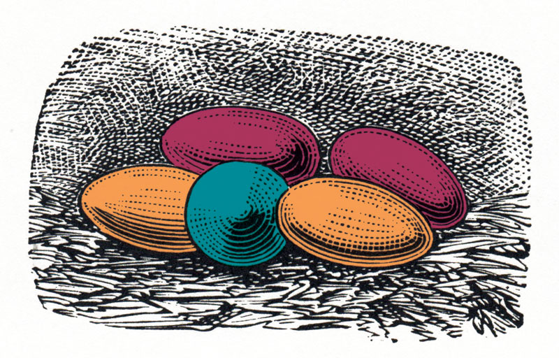 illustration of orange, red and blue eggs on a nest