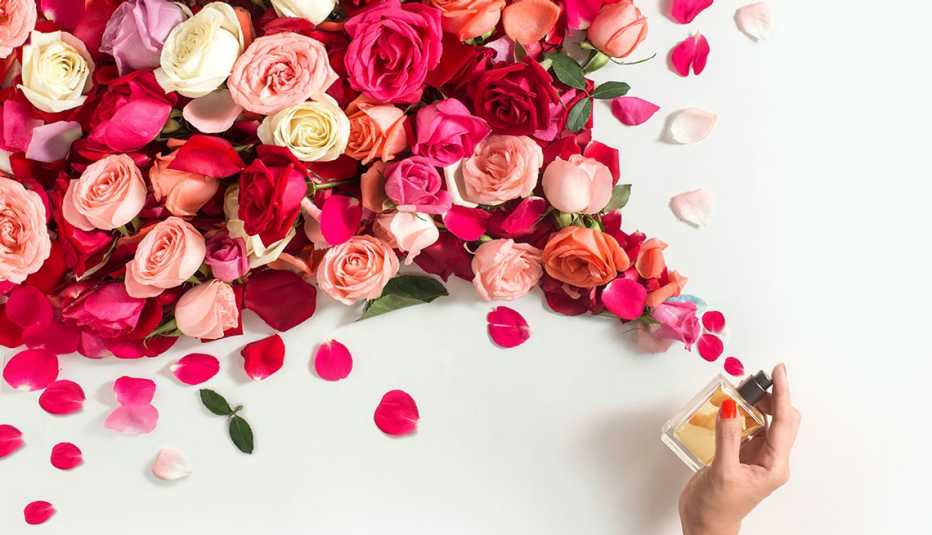 Women's hand spraying mist of rose in mid-air on white background