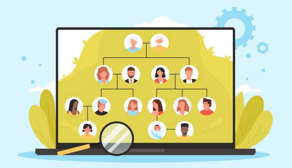 a laptop showing a family tree online a laptop showing a family tree online