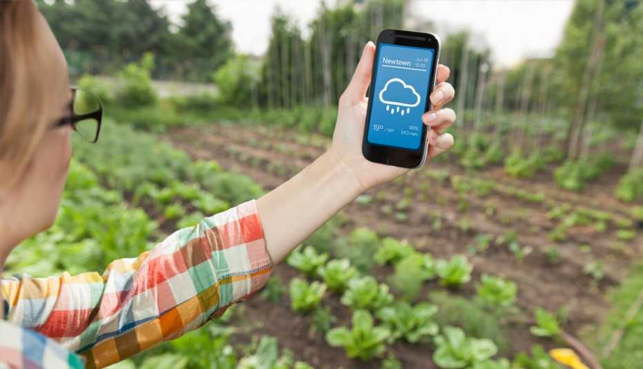 a woman checking the weather on her smartphone