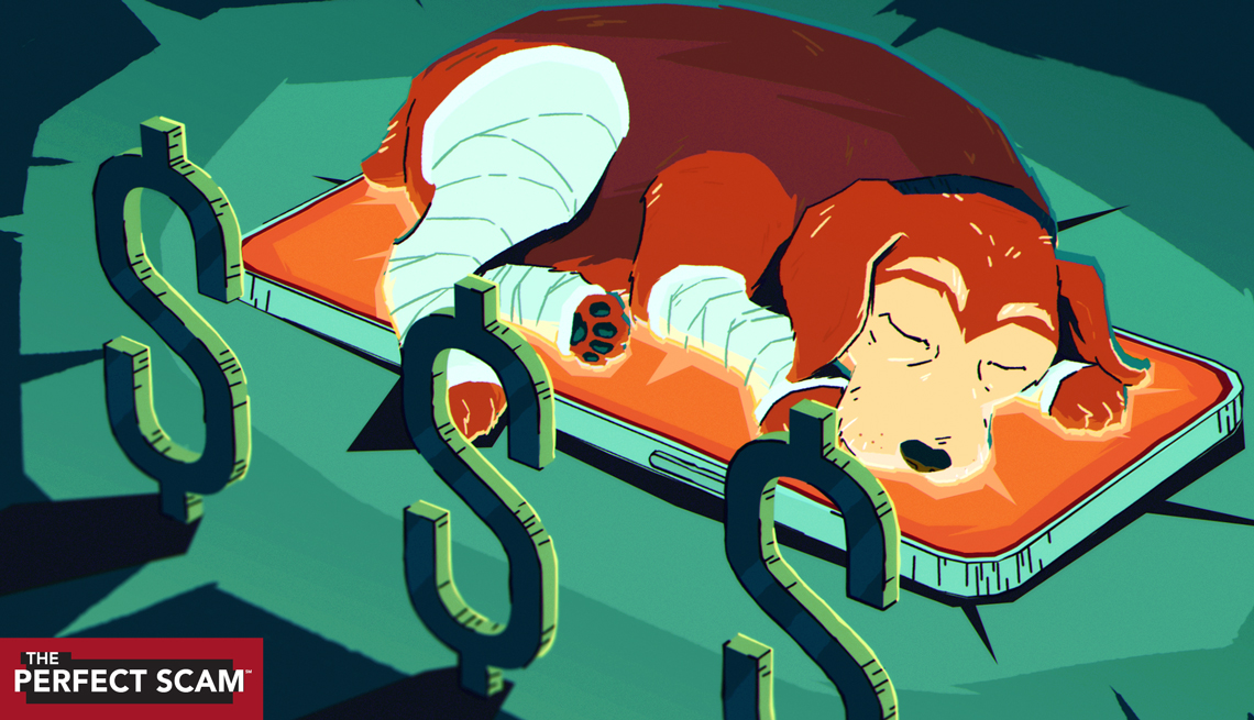 a graphic illustration shows a beagle with bandaged legs resting on a giant smart phone. There is a row of dollar symbols fencing in the dog