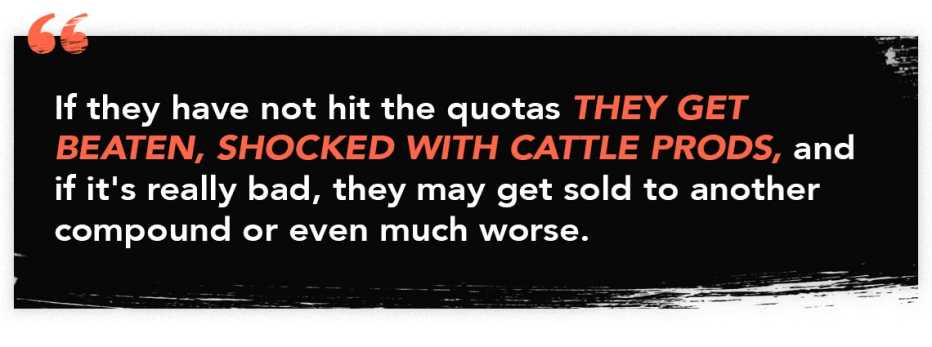 infographic quote that reads "If they have not hit the quotas they get beaten, shocked with cattle prods, and if it's really bad, they may get sold to another compound or even much worse."