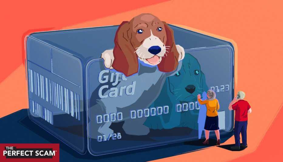 a dog inside a see-through kennel that is a box of gift cards
