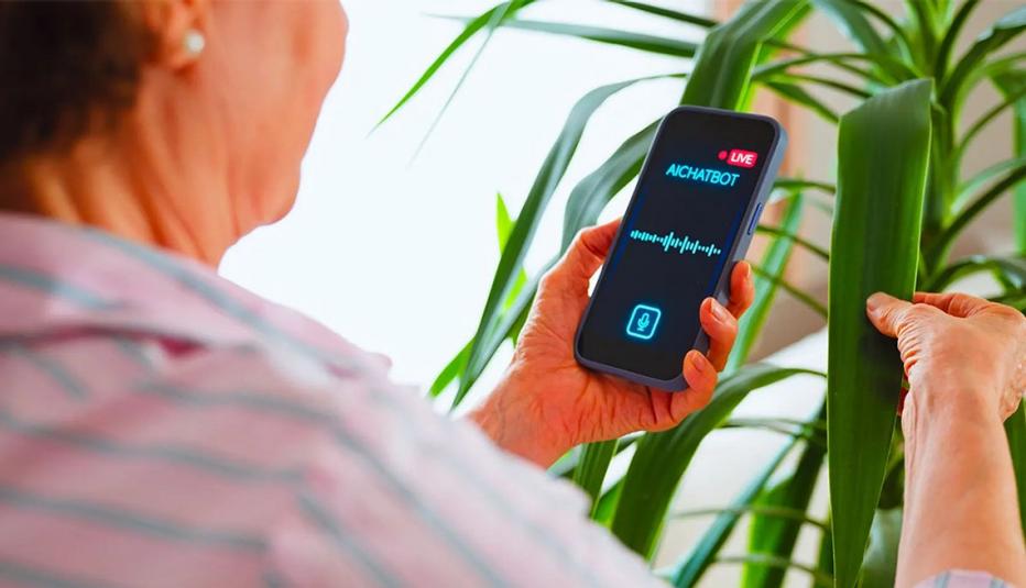 view from behind a person looking at their cell phone