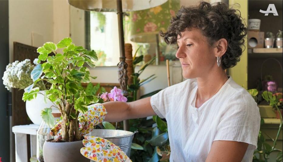 People With Medicaid Face Potential Disenrollment