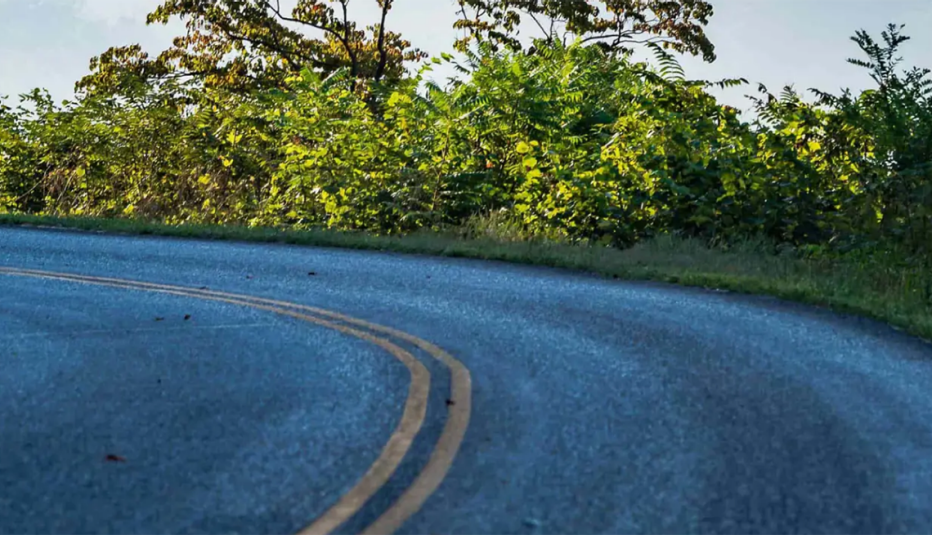 Virginia Retire Path Image of road with trees on side