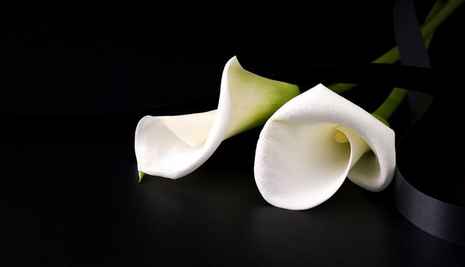 White mourning flower on a black background. White mourning flower on a black background.