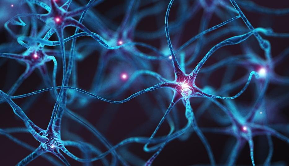 Three-dimensional rendering of firing neurons