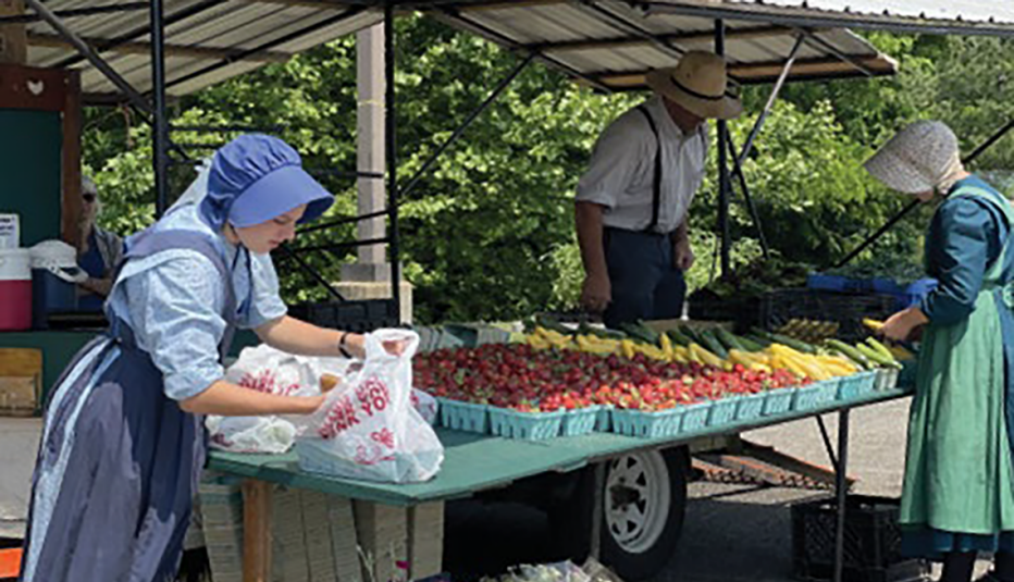 2 women in long dresses and bonnets  and a man in pants with suspenders at an outdoor market looking at vegetables