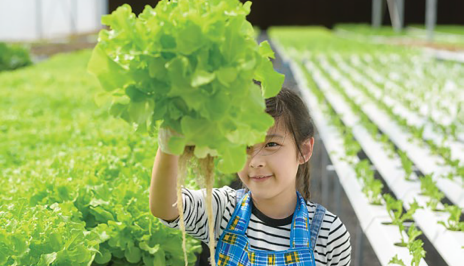 girl looking at a plant in hydroponic greenhouse farm