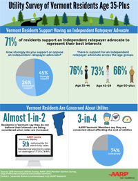 Infographic about utility survey