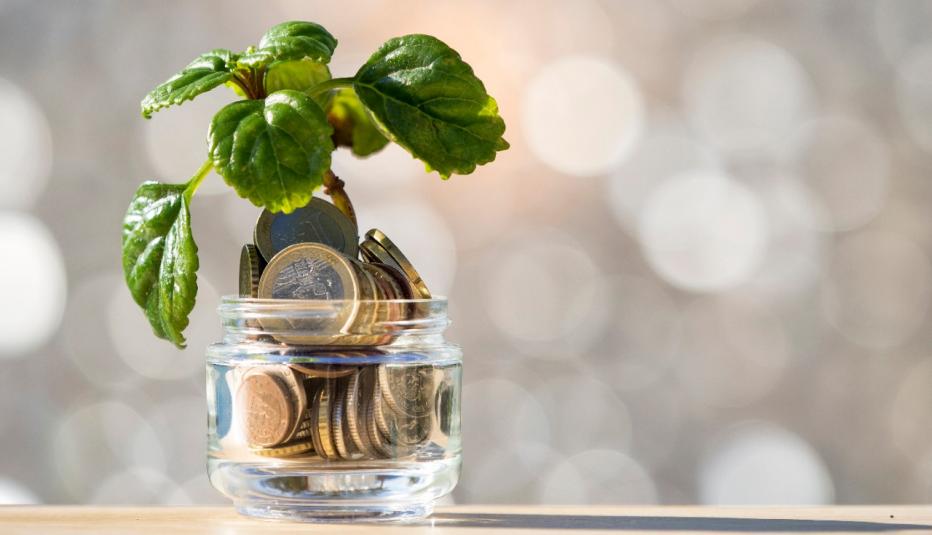 Small glass flowerpot with a heap of coins inside it with a plant growing on top Small glass flowerpot with a heap of coins inside it with a plant growing on top