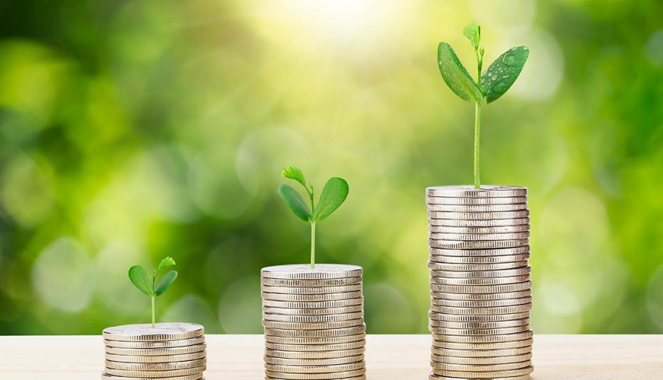 Sprout growing from stack of coins on wooden desk Sprout growing from stack of coins on wooden desk