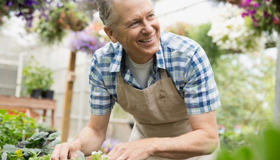 A man gardening in a nursery greenhouse Smiling man gardening in a nursery greenhouse