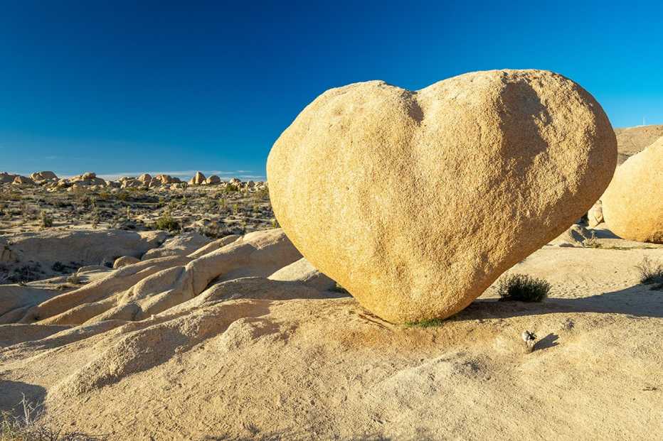 heart rock in skull and bones rocks in joshua tree