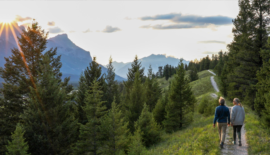 two people walking on trail between trees
