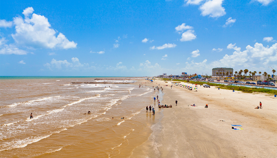 people on stewart beach in galveston texas