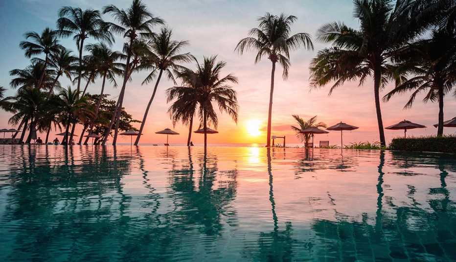 body of water, palm trees, sun in distance
