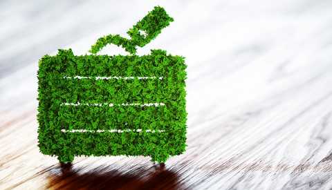 suitcase made out of greenery to show eco friendly travel