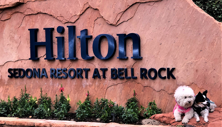 two dogs sit outside the sign at the hilton sedona resort at bell rock arizona
