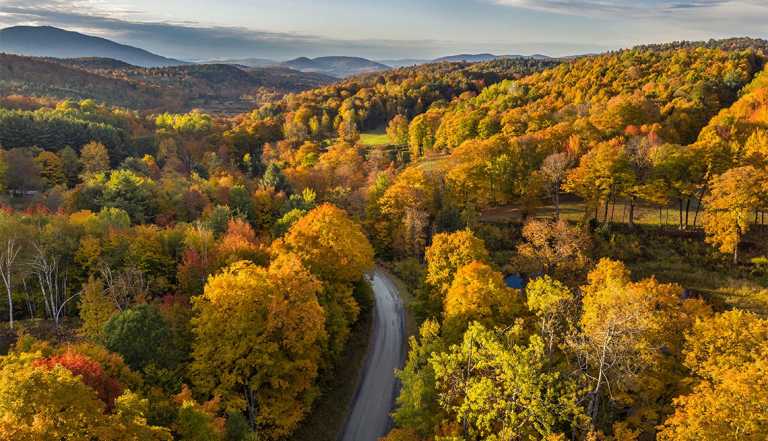 a road running through fall foliage in new england