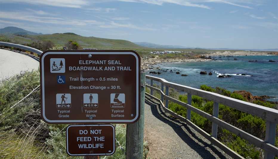 Piedras Blancas Northern Elephant Seal rookery, Pacific Coast Highway, near San Simeon, Central Coast, California