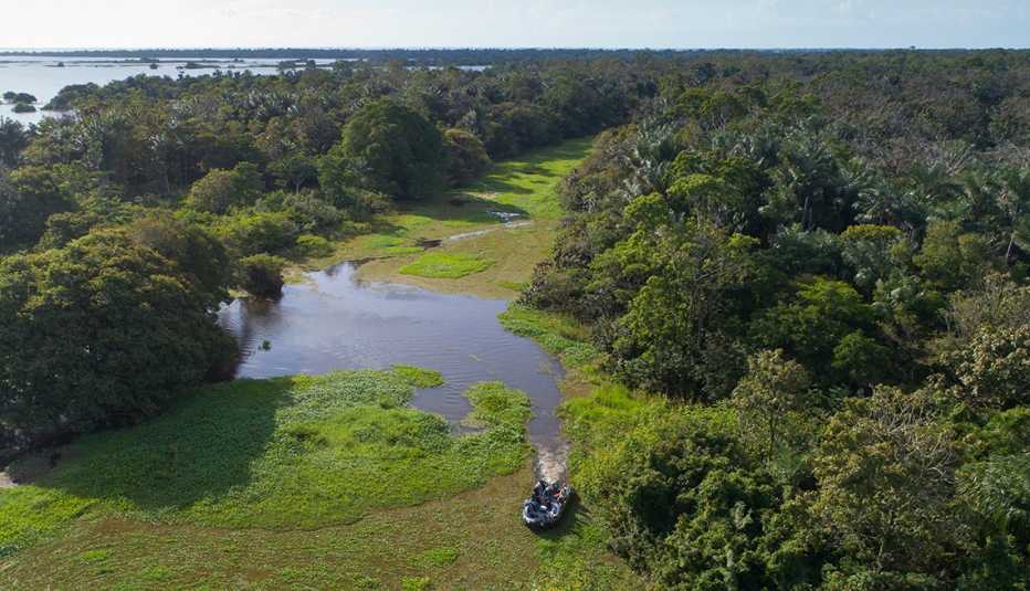 overhead view of a small zodiac boat cruising through vegetation in the amazon river