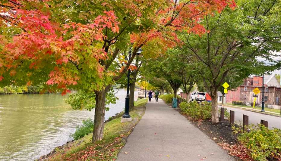 trees showing shades of red, yellow, and green line a walkway along the erie canal