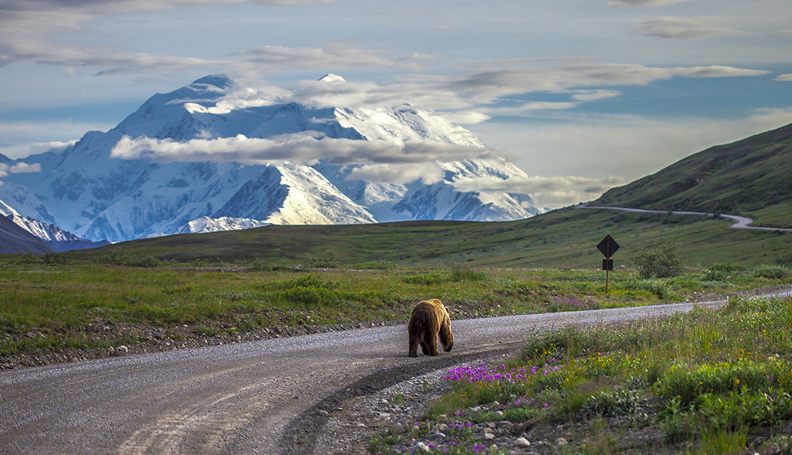 Mount McKinley