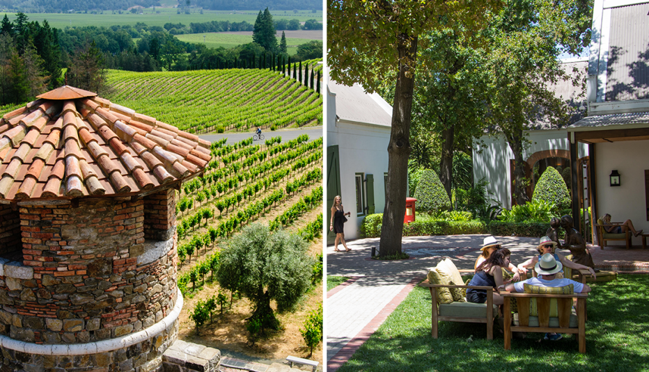left a vineyard in napa valley california right a winery in cape town south africa