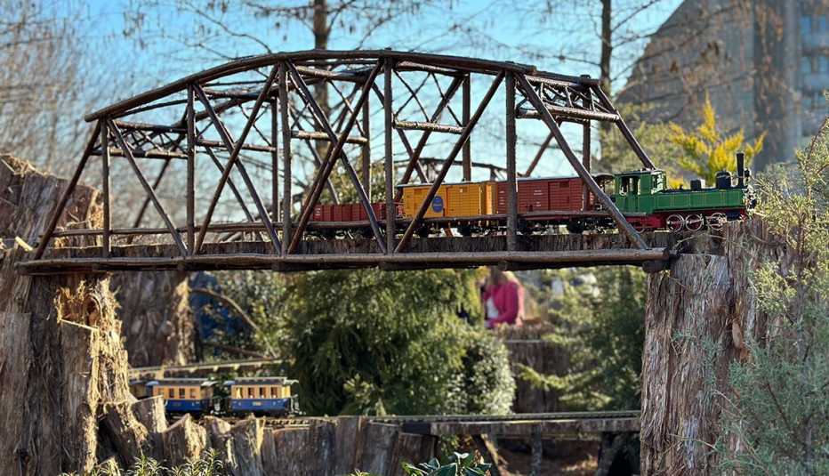 model trains going over tracks at the u s botantic garden in washington d c