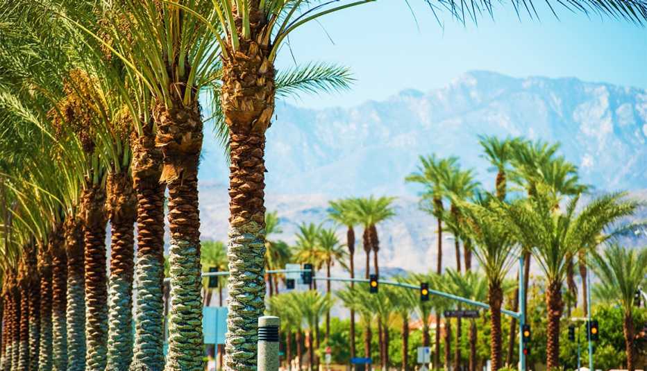 a street with palm trees in Palm Springs, CA