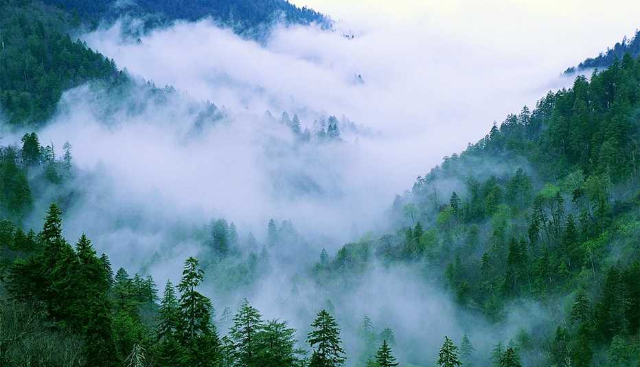 Great Smoky Mountains