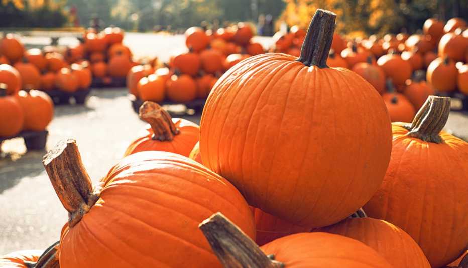 stacks of pumpkins in a pumpkin patch