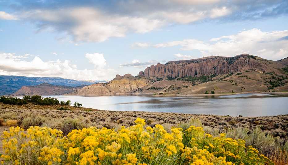 Curecanti National Recreation Area with yellow wildflowers in the forefront Curecanti National Recreation Area with yellow wildflowers in the forefront