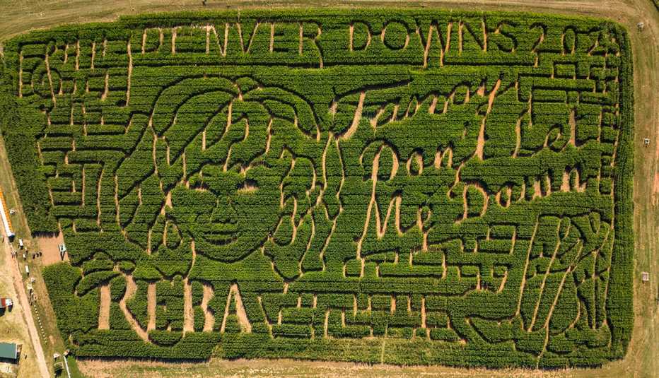 denver downs corn maze features a portrait of reba mcentire