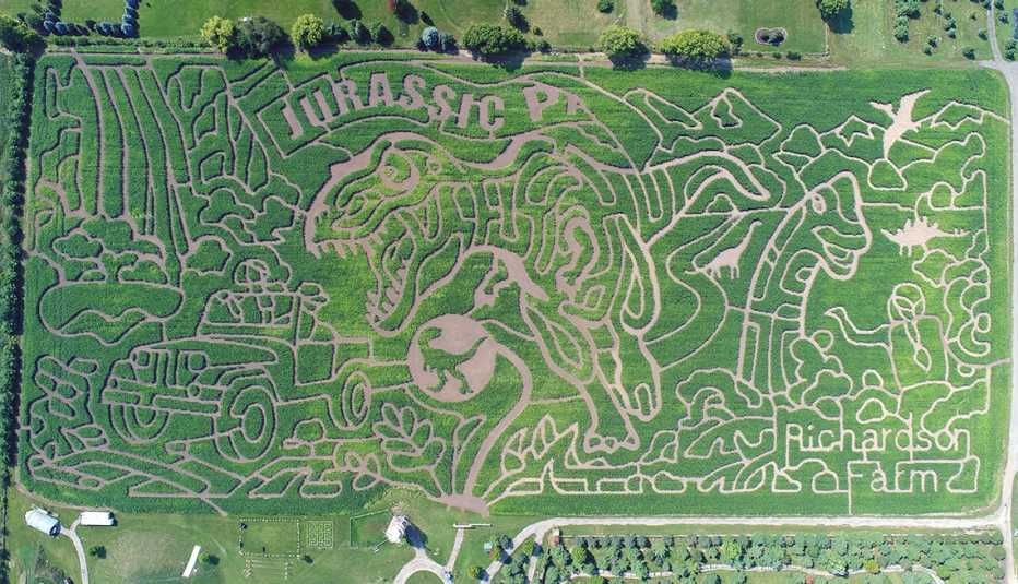a corn maze depicting famous scenes from the movie jurassic park