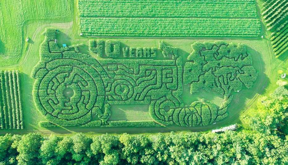a corn maze in the shape of a man driving a tractor with pumpkins and a sign saying forty years