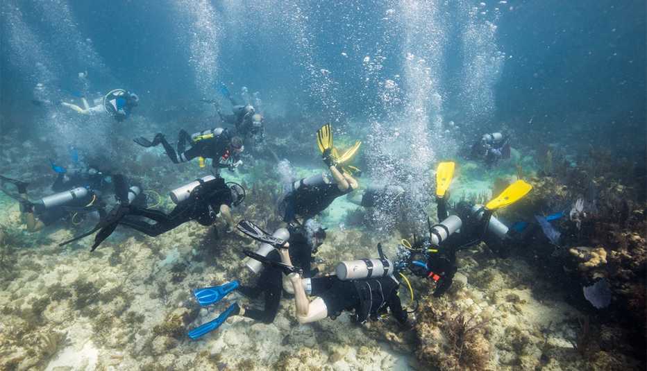 divers at Corapolooza event for the Coral Restoration Foundation™ 