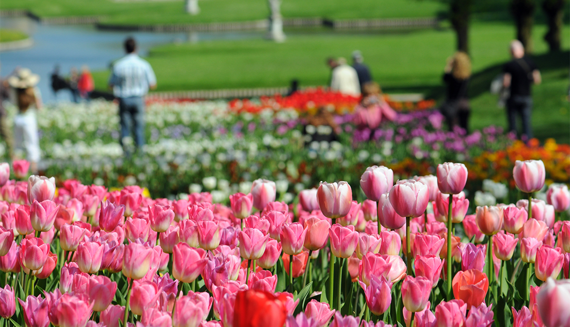 people walking through a garden