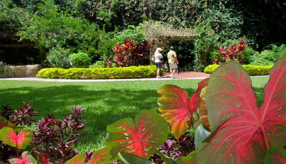 Sunken Gardens Sunken Gardens