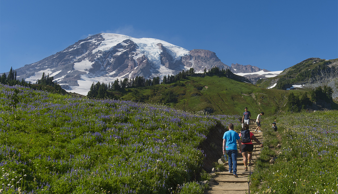 Hikers on the Skyline Trail at Mt. Rainier
