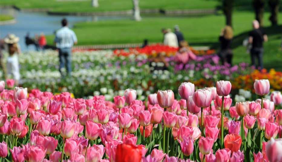 people walking through a garden